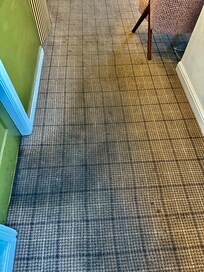 Filthy carpet