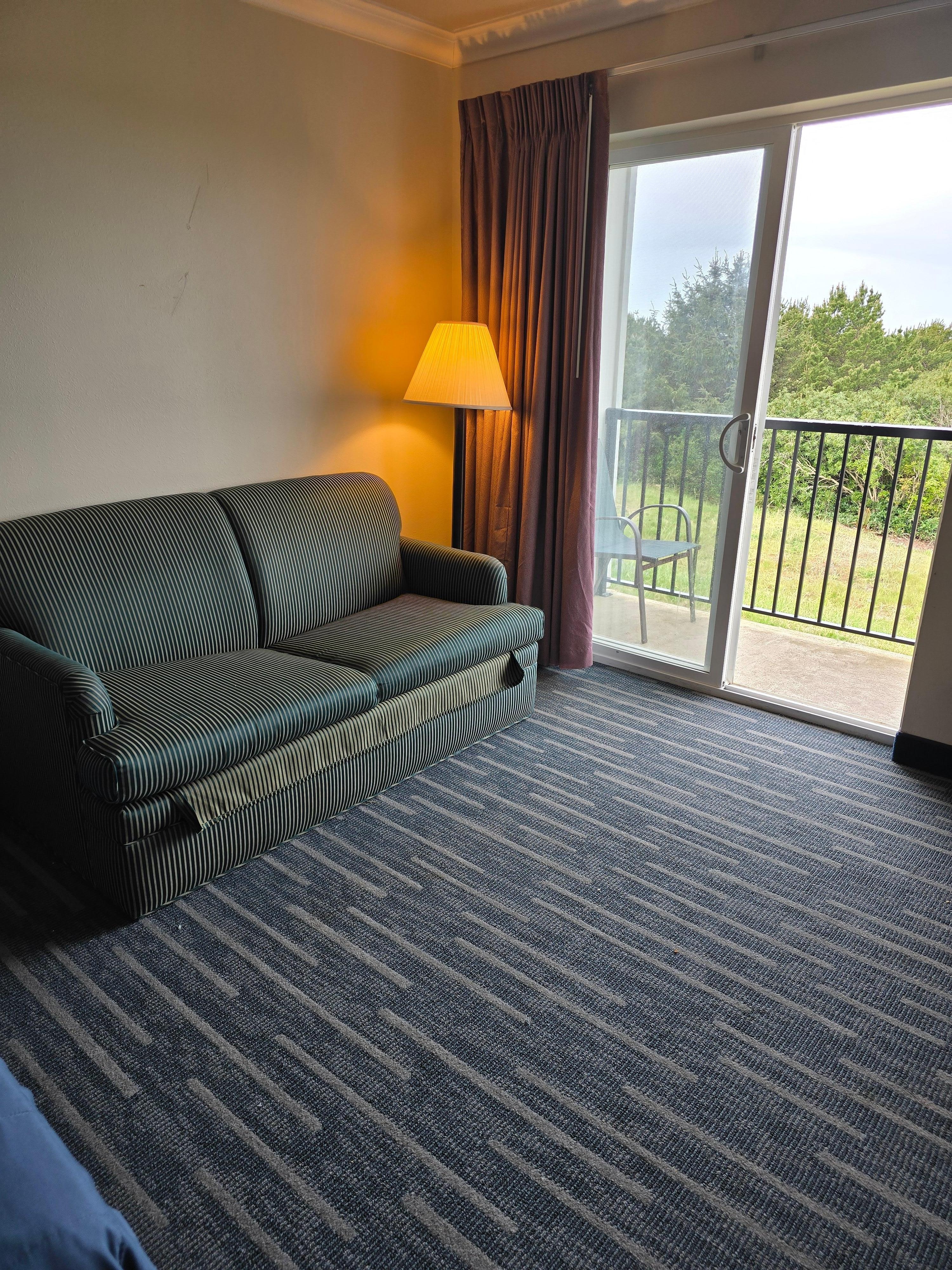 Couch could use some update, lights work.. and looking to the left out the patio duck pond.