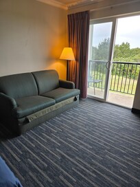 Couch could use some update, lights work.. and looking to the left out the patio duck pond.
