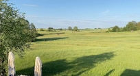 Blick von meinem Balkon im ersten Stock