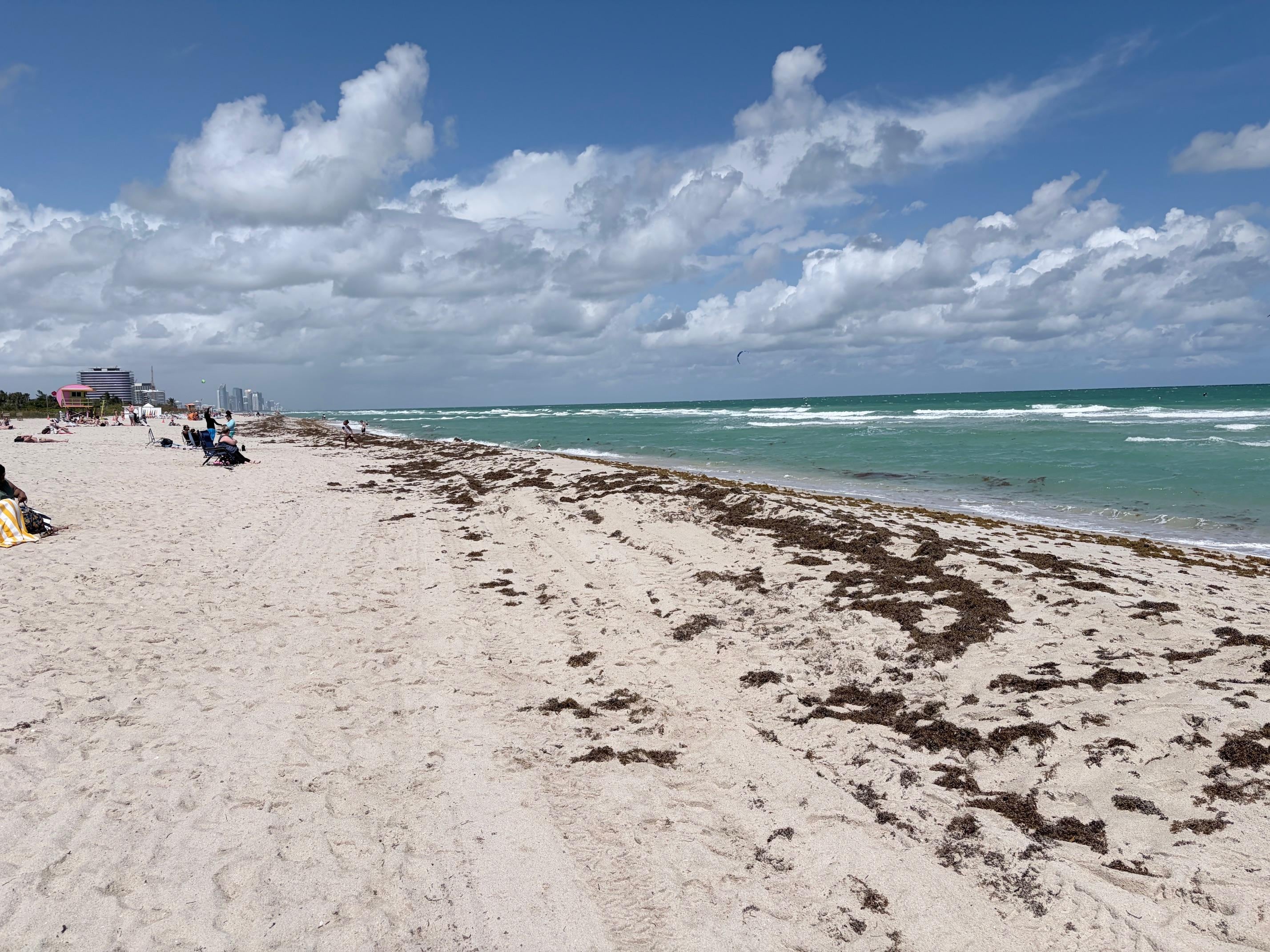 Zero maintenance on the beach northward.