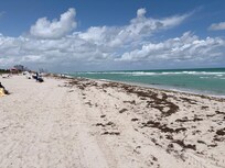 Zero maintenance on the beach northward.