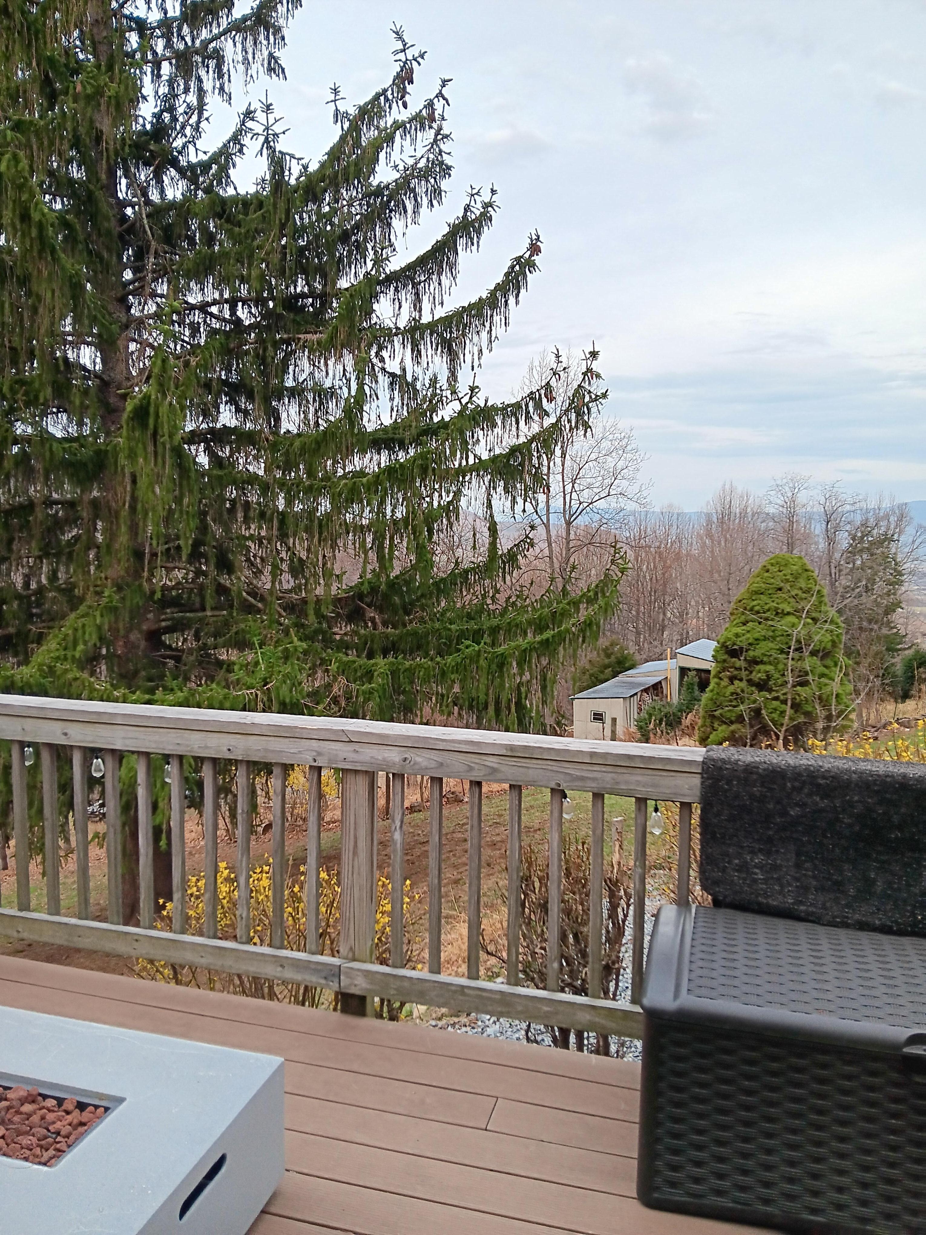 view from front door