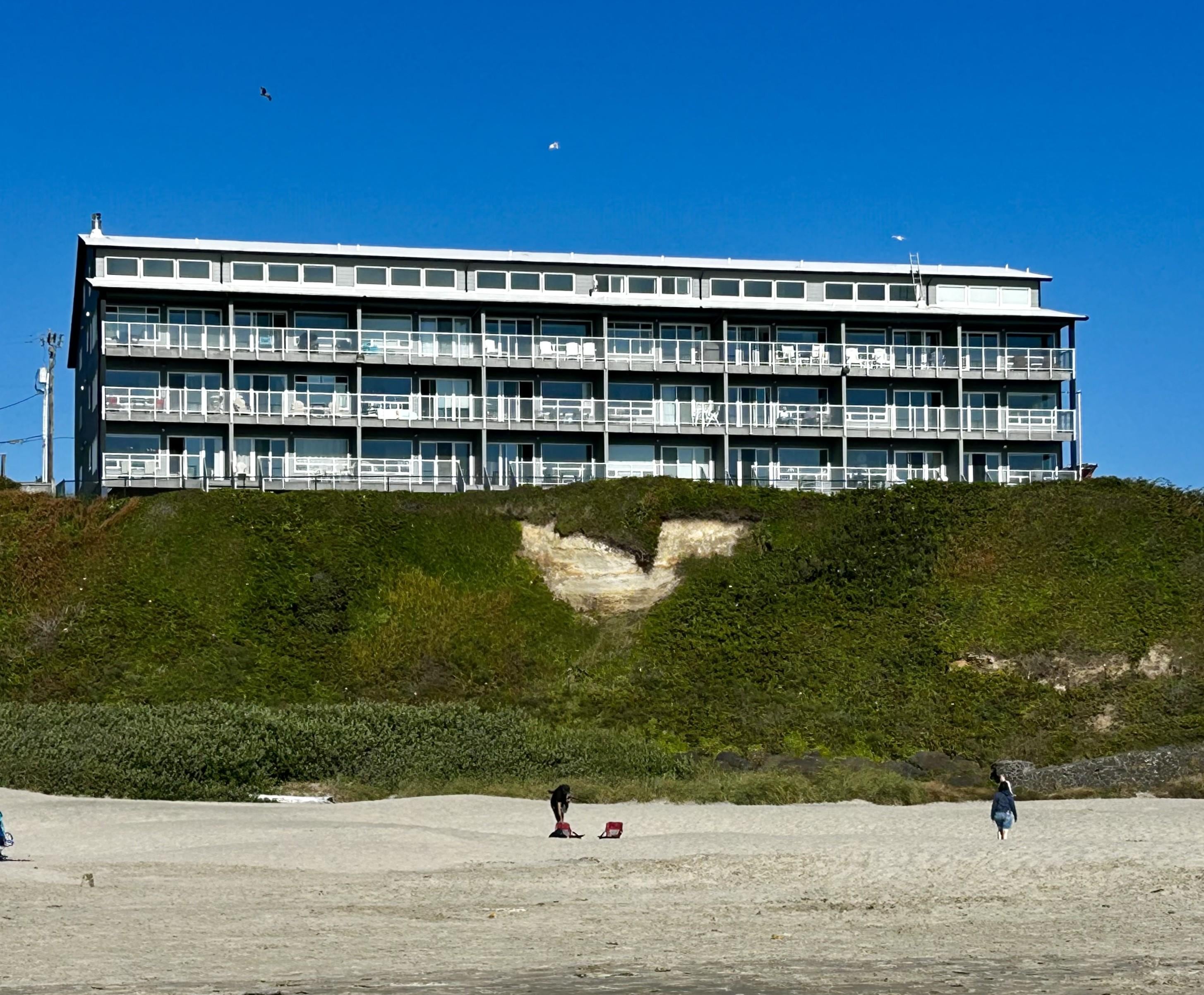 View of condo from beach