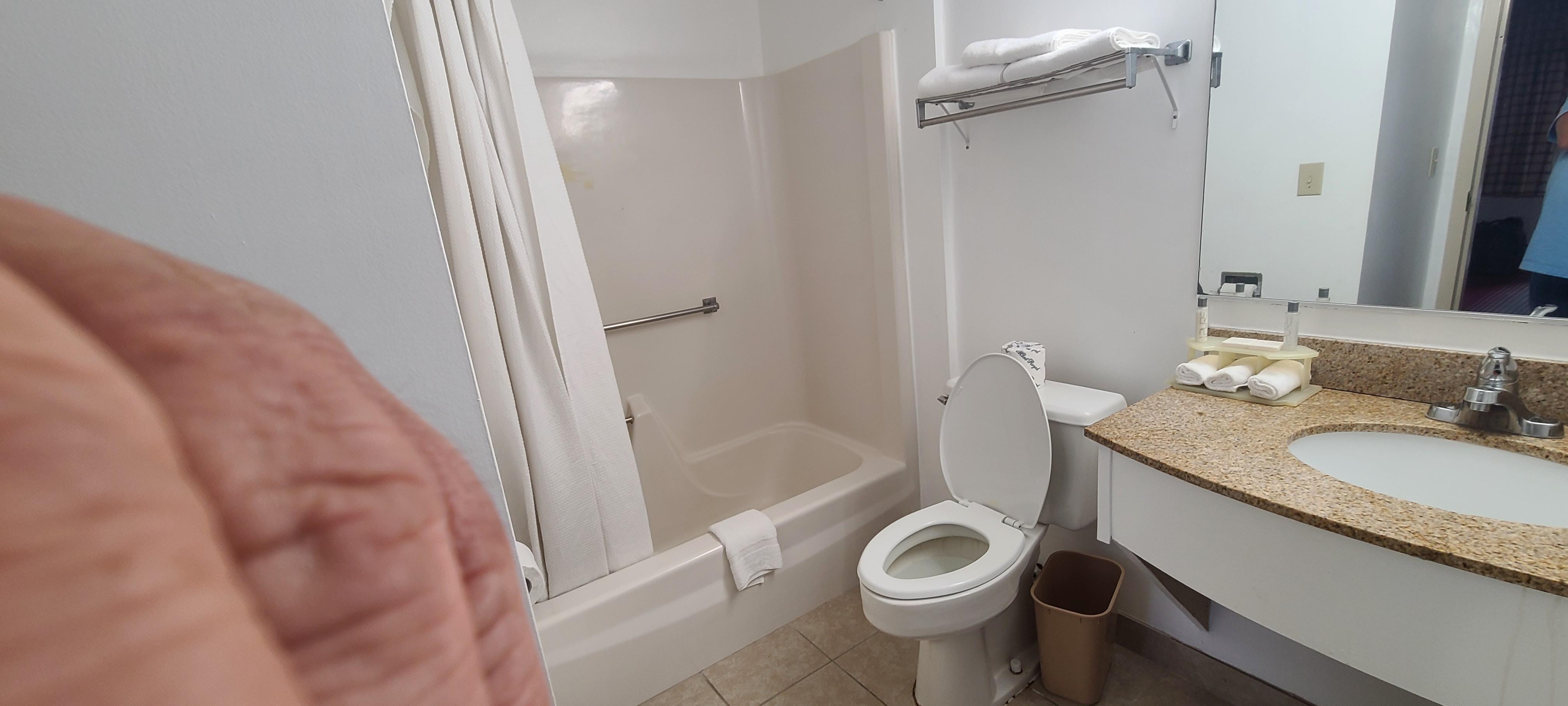 Bathroom needs upgrade