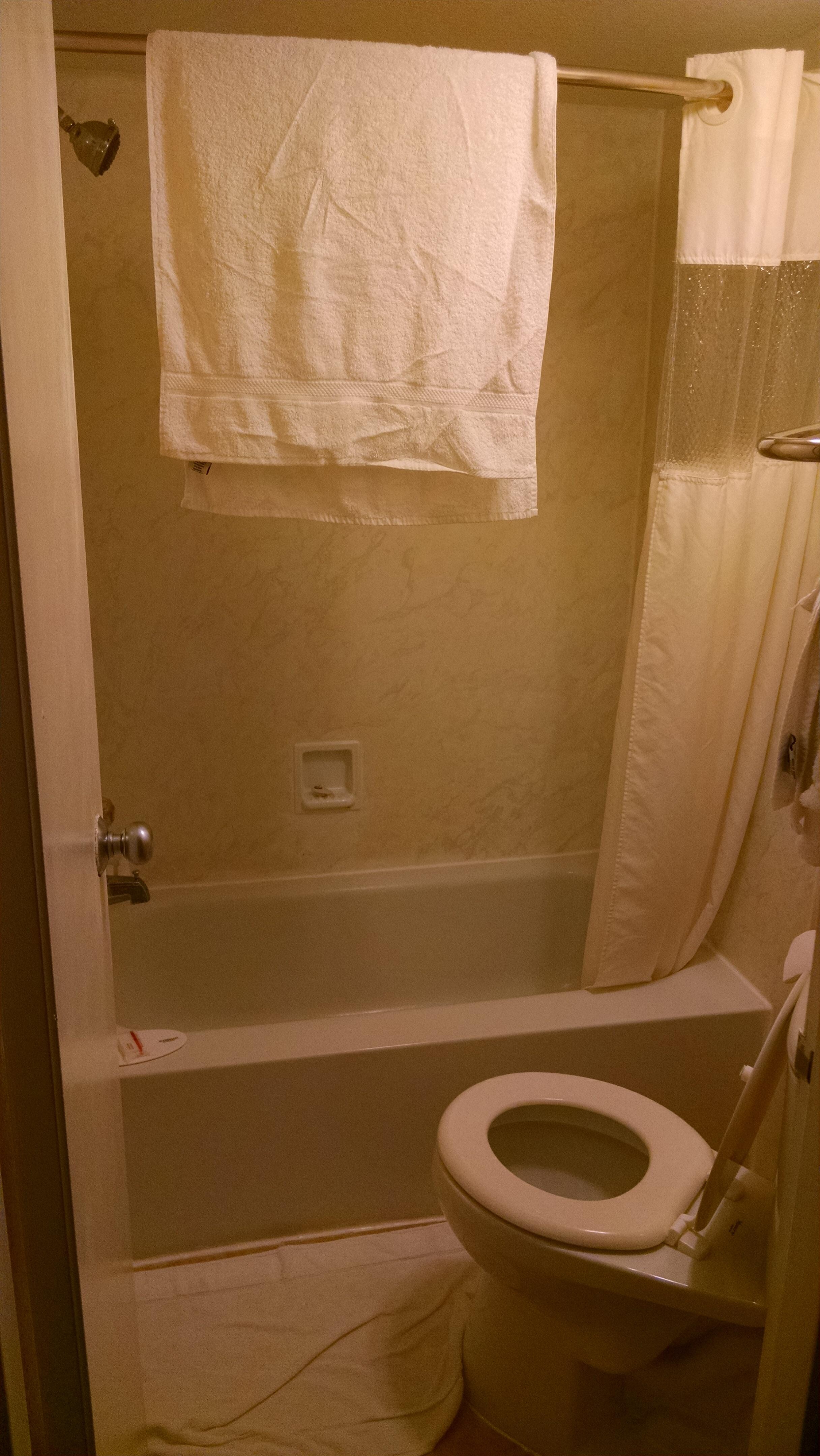 Bathroom terrors