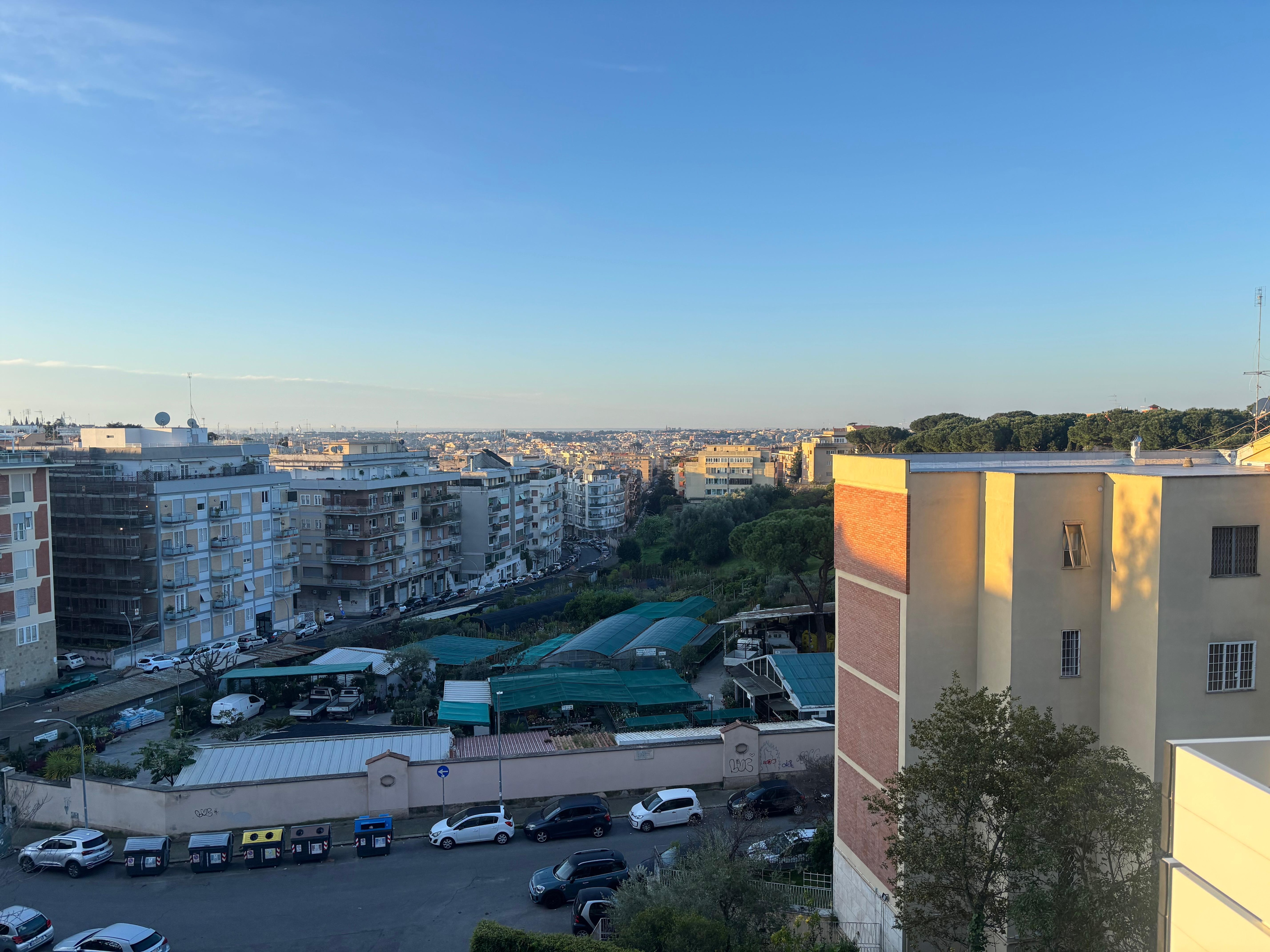 Distant view of Rome