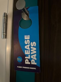 This is the first time I’ve ever seen signage about pets. Although our babies were not with us this was really neat.