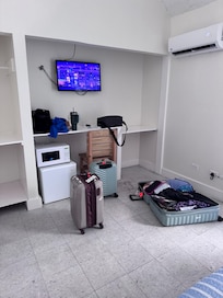 TV had no channels or streaming capability.