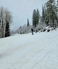 Enjoyed some time skiing at Powderhorn with our son and saw a small herd of big horned sheep on the way back to GJ. Also visited Rifle Falls State Park. Beautiful!