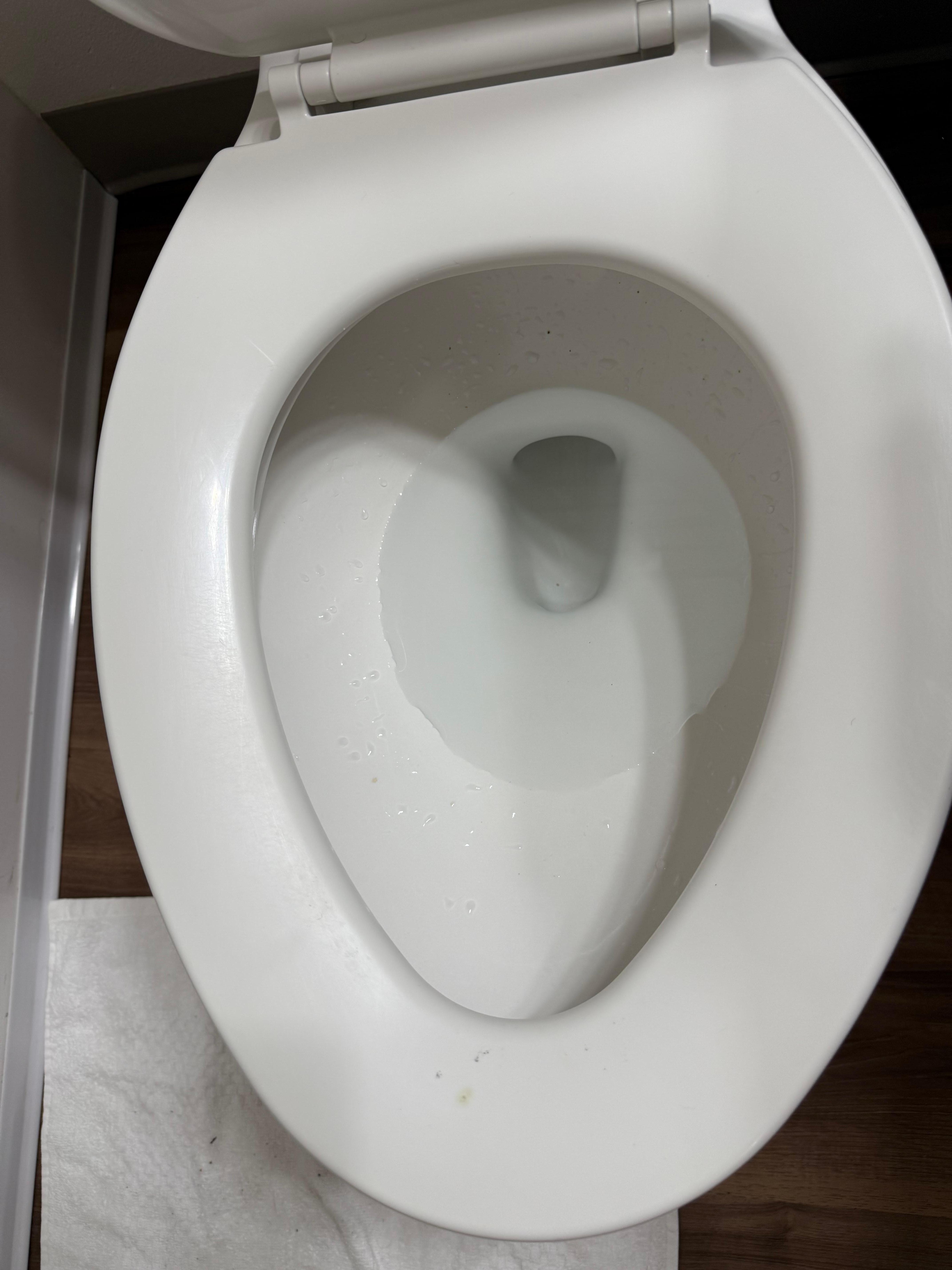 Unclean toilet 