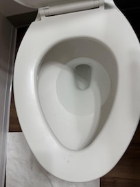 Unclean toilet