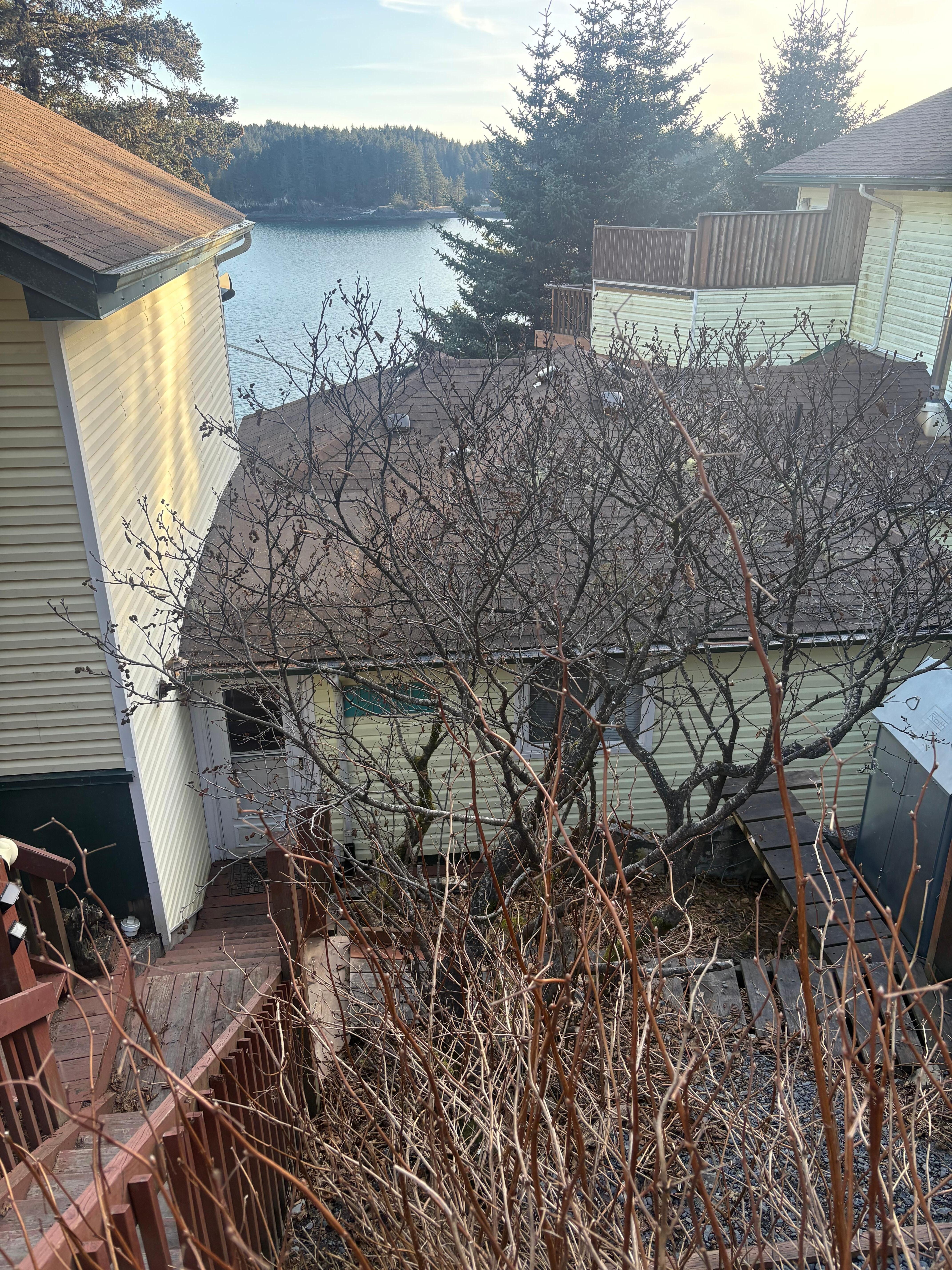 Looking down at the entrance from the top of the stairs 