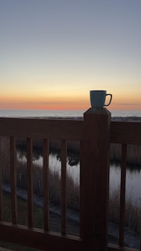 beautiful view for my morning coffee.