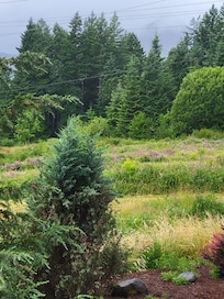 View from porch
