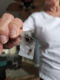 Mold from the refrigerator water spout