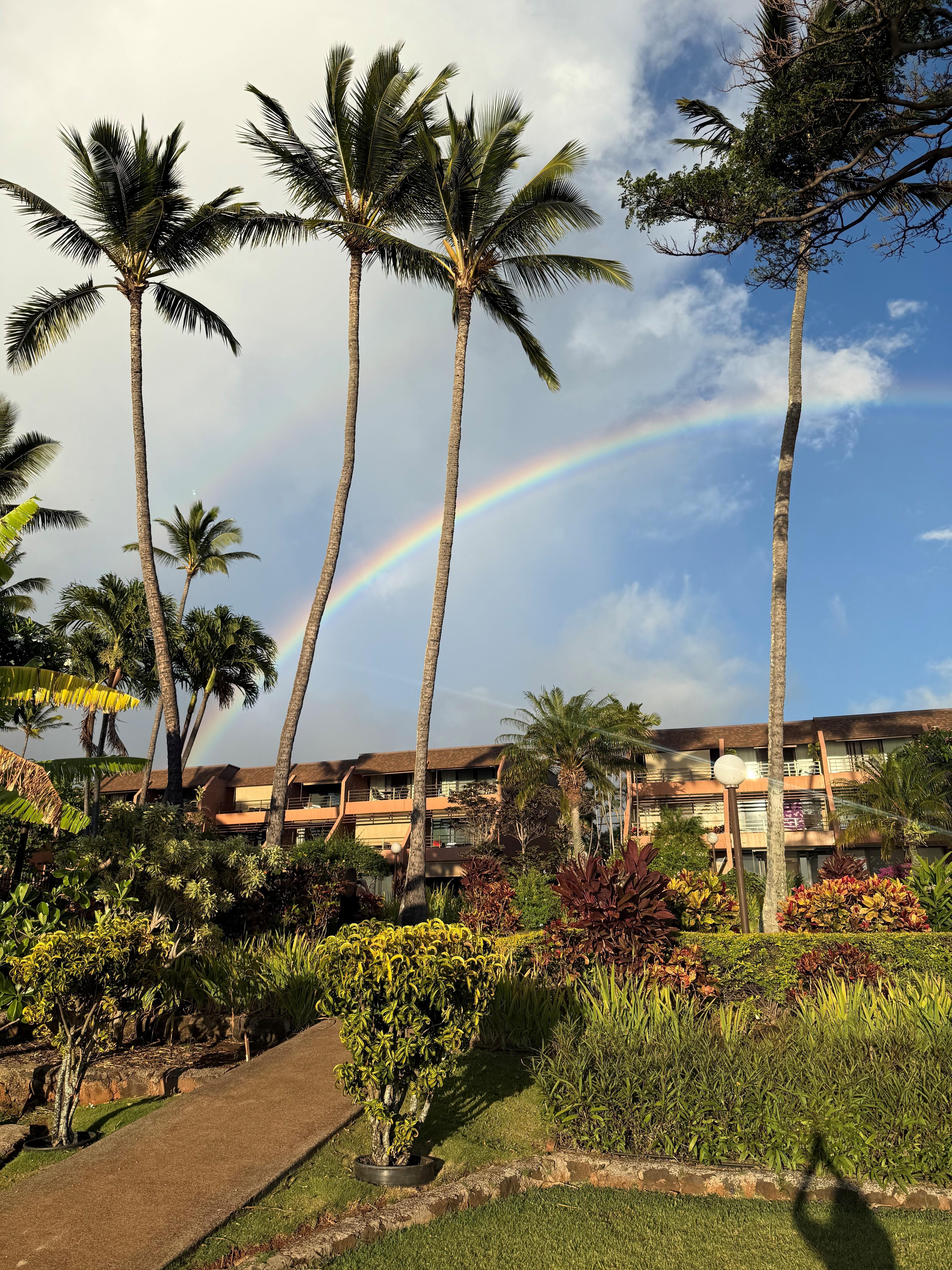 Endless rainbows over the resort