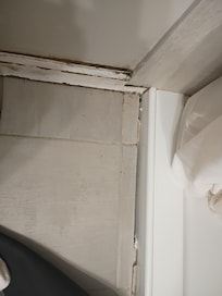 Entire house smelled like mildew and mold and you can see where water is getting into the baseboards and between the shower pan and tile in the uncailked area