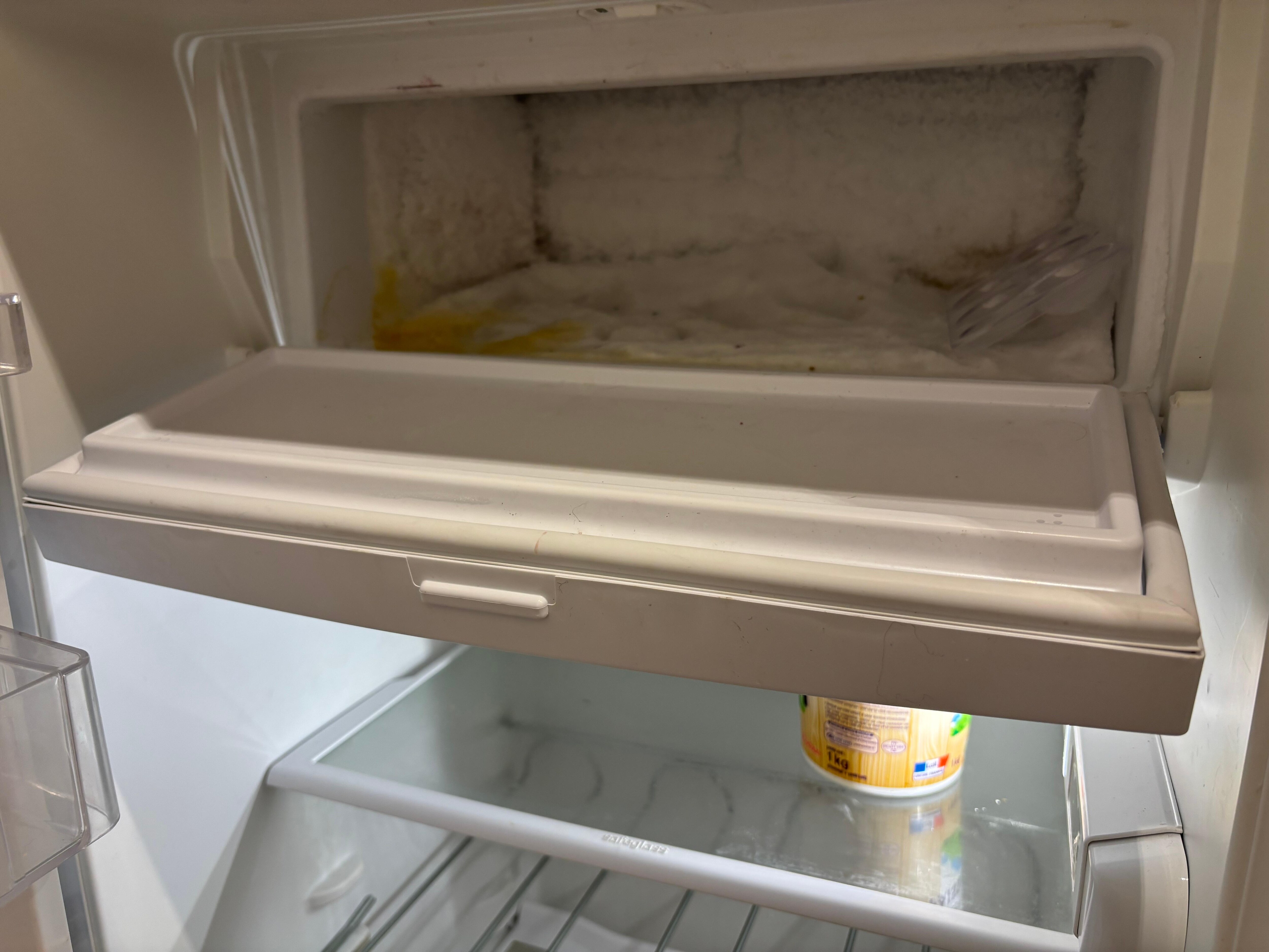 Le freezer du réfrigérateur 
