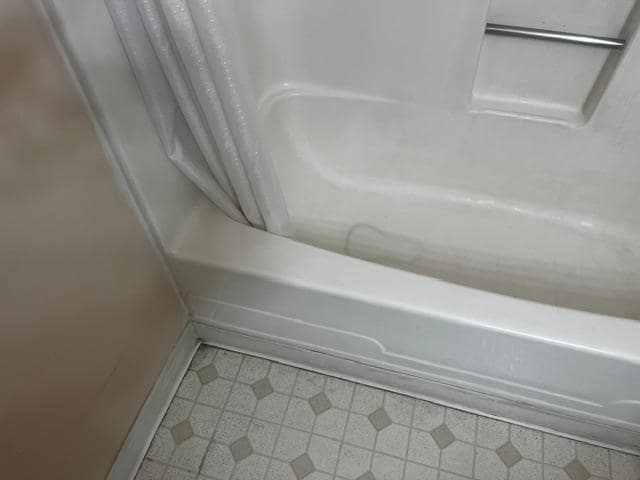 Moldy bathroom floor