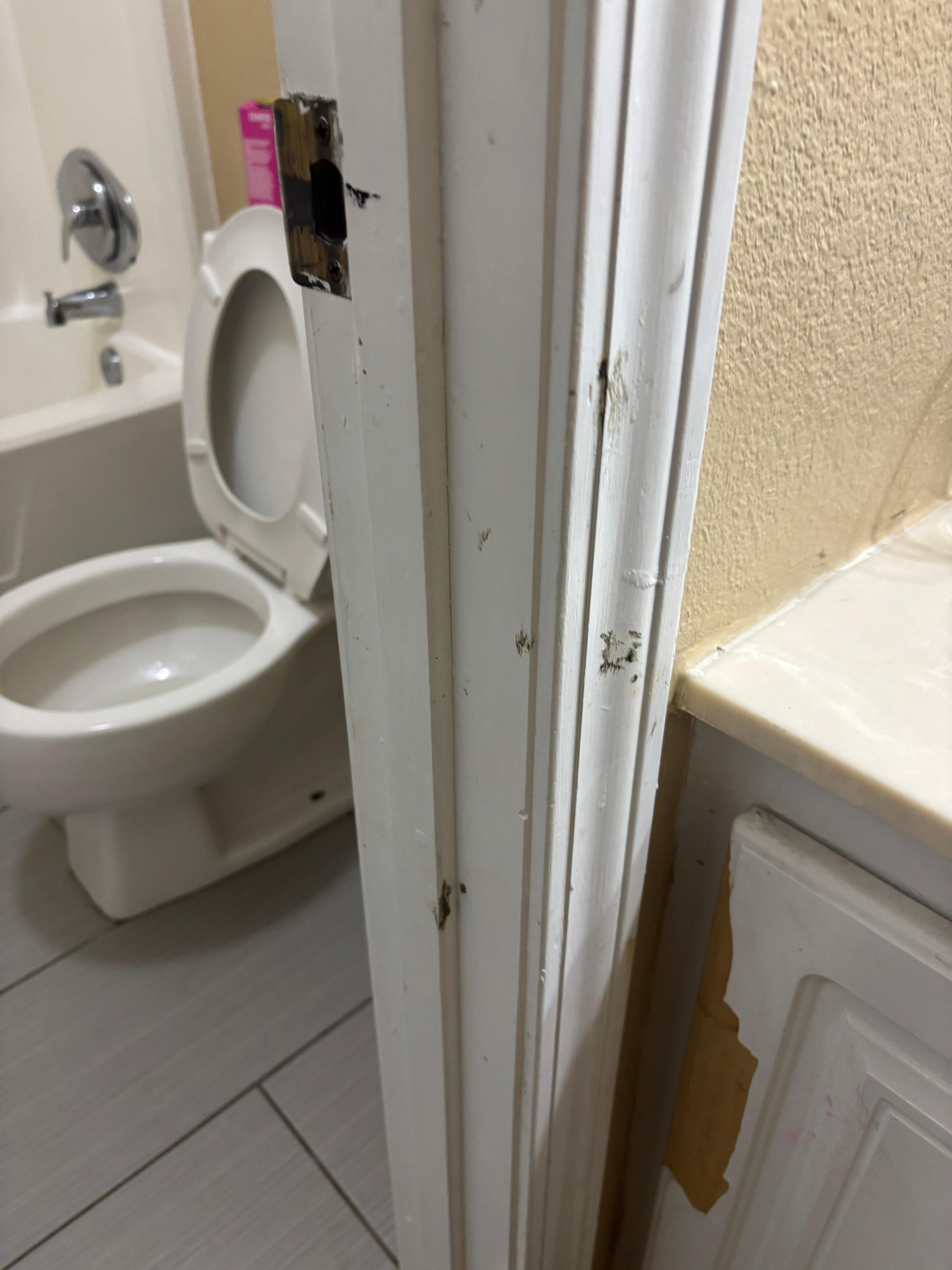 Poop on wall