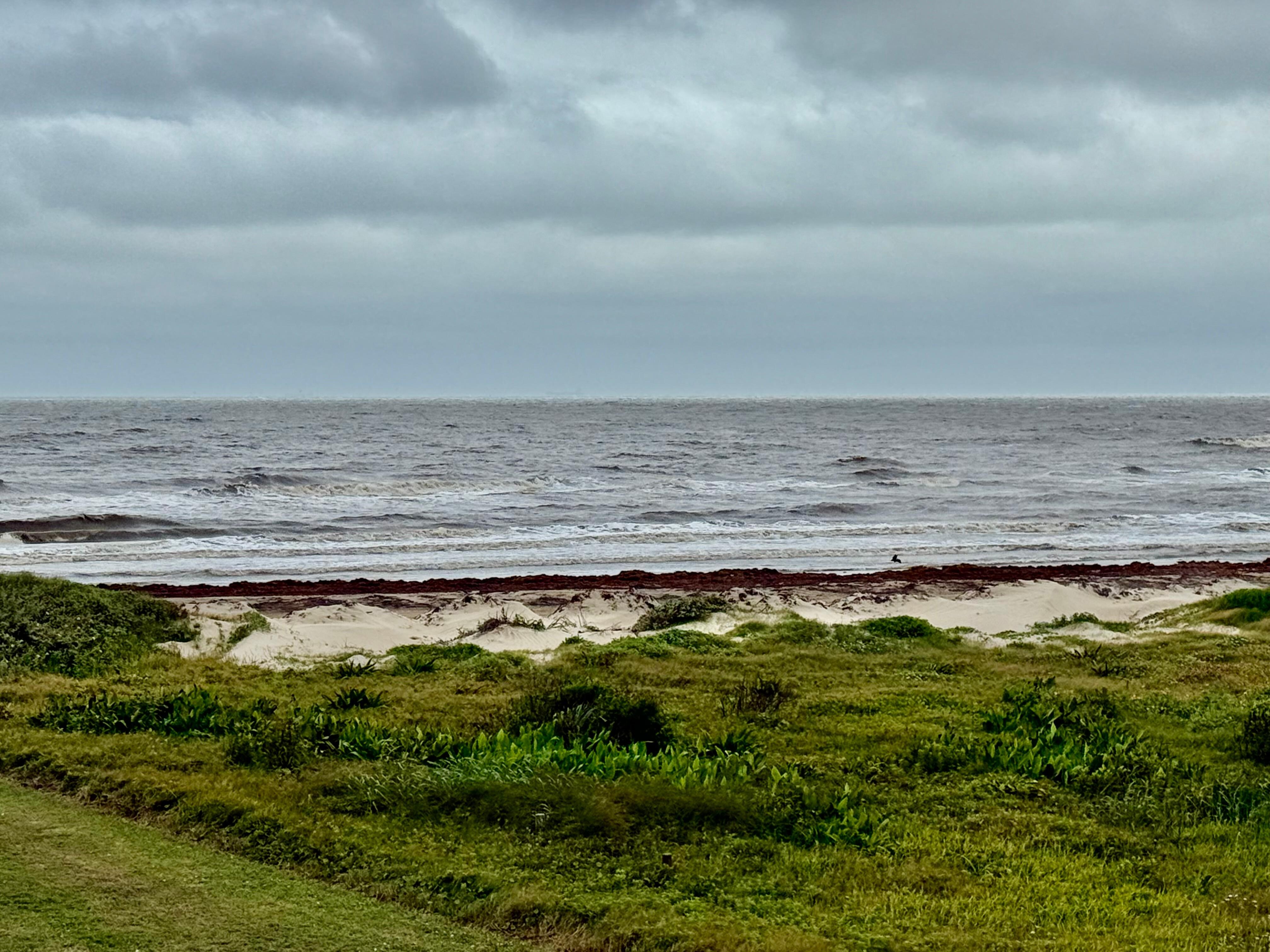 View from house deck