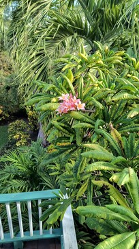 Nice flowers around the property