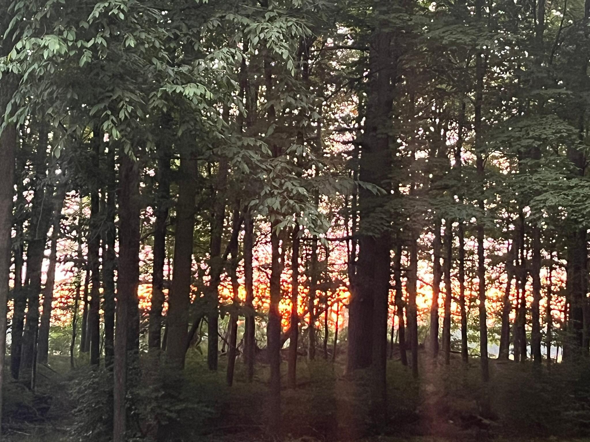 Sunrise 