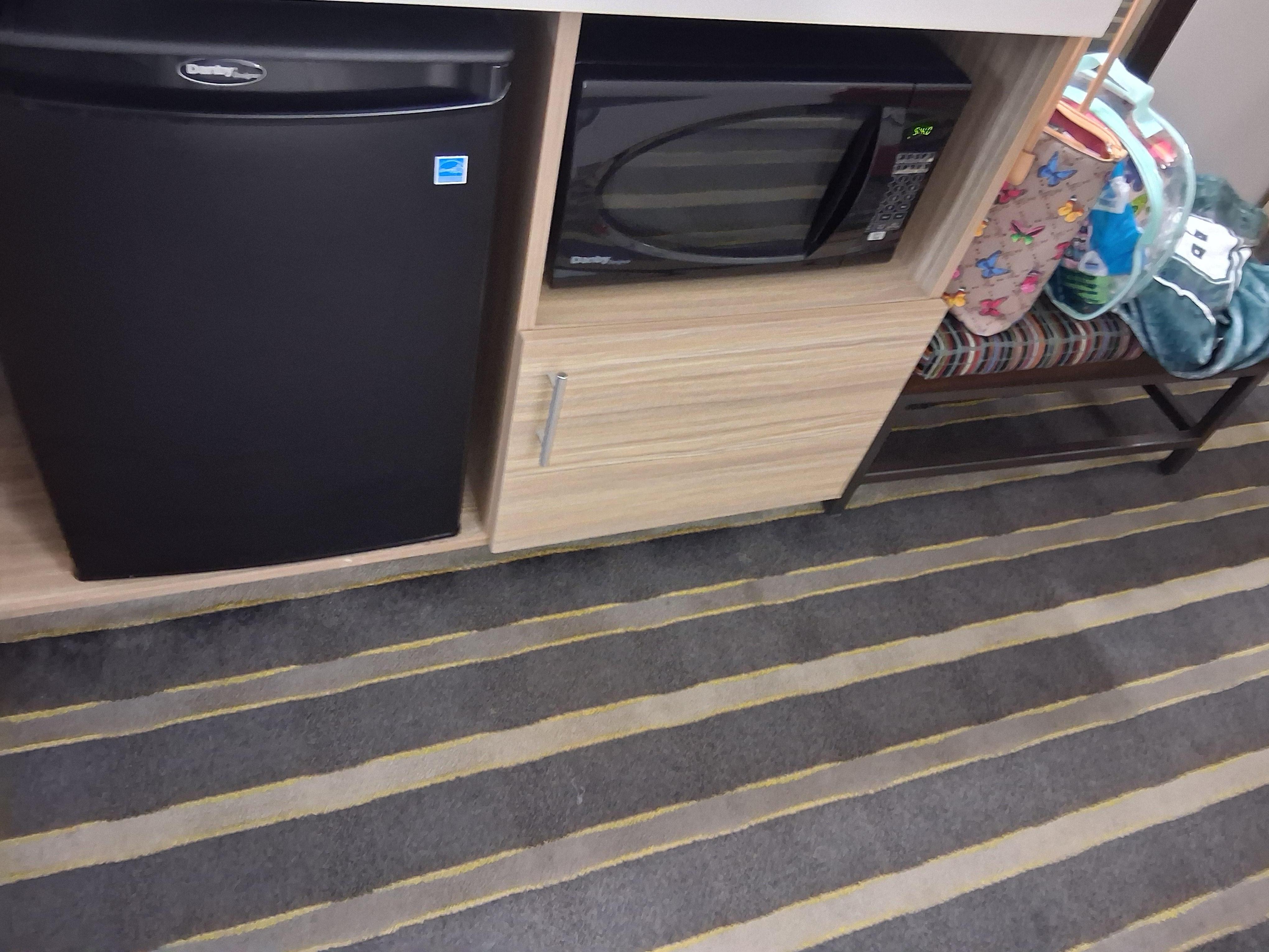 Microwave and Fridge