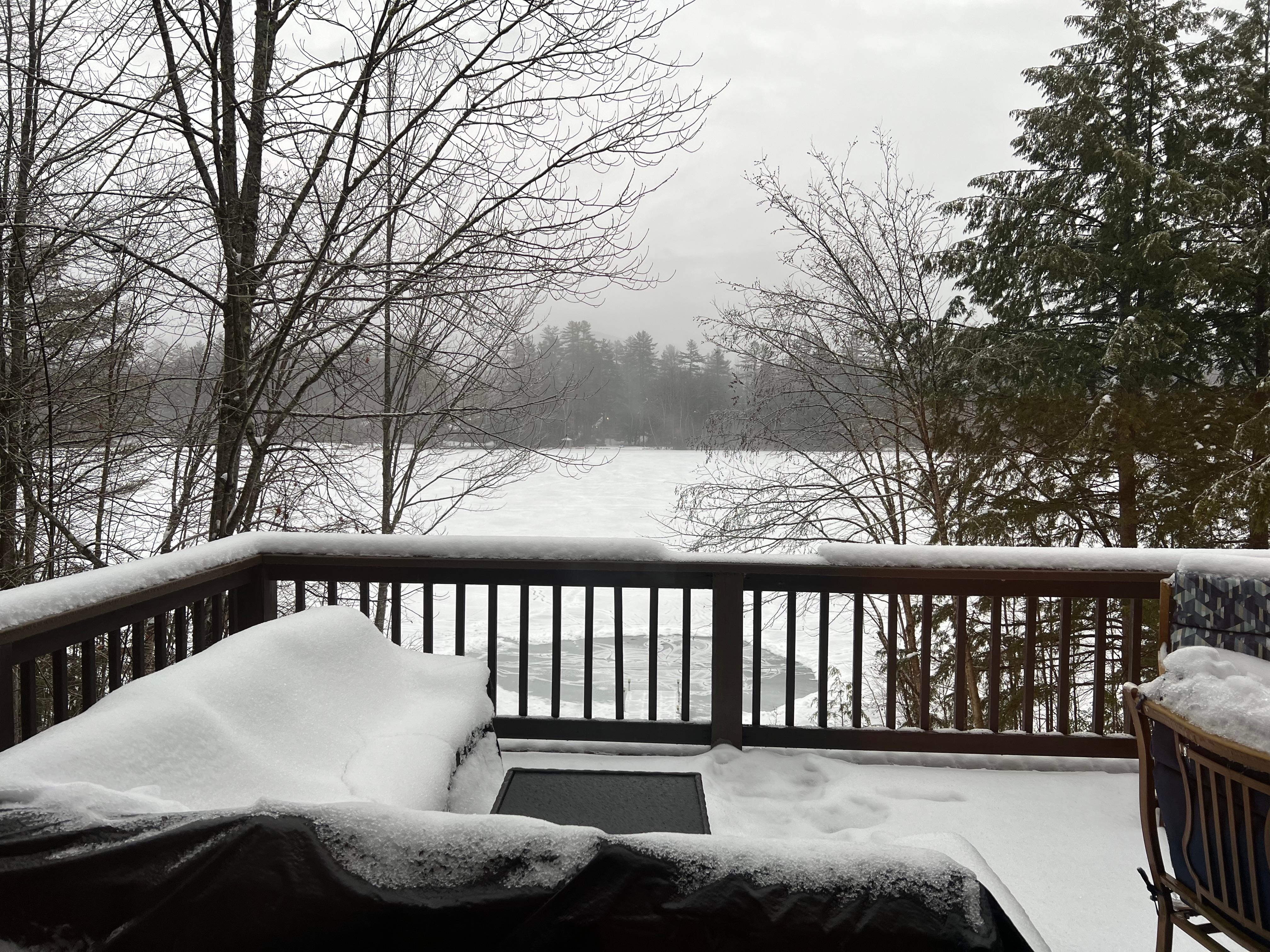 View from the dining table 