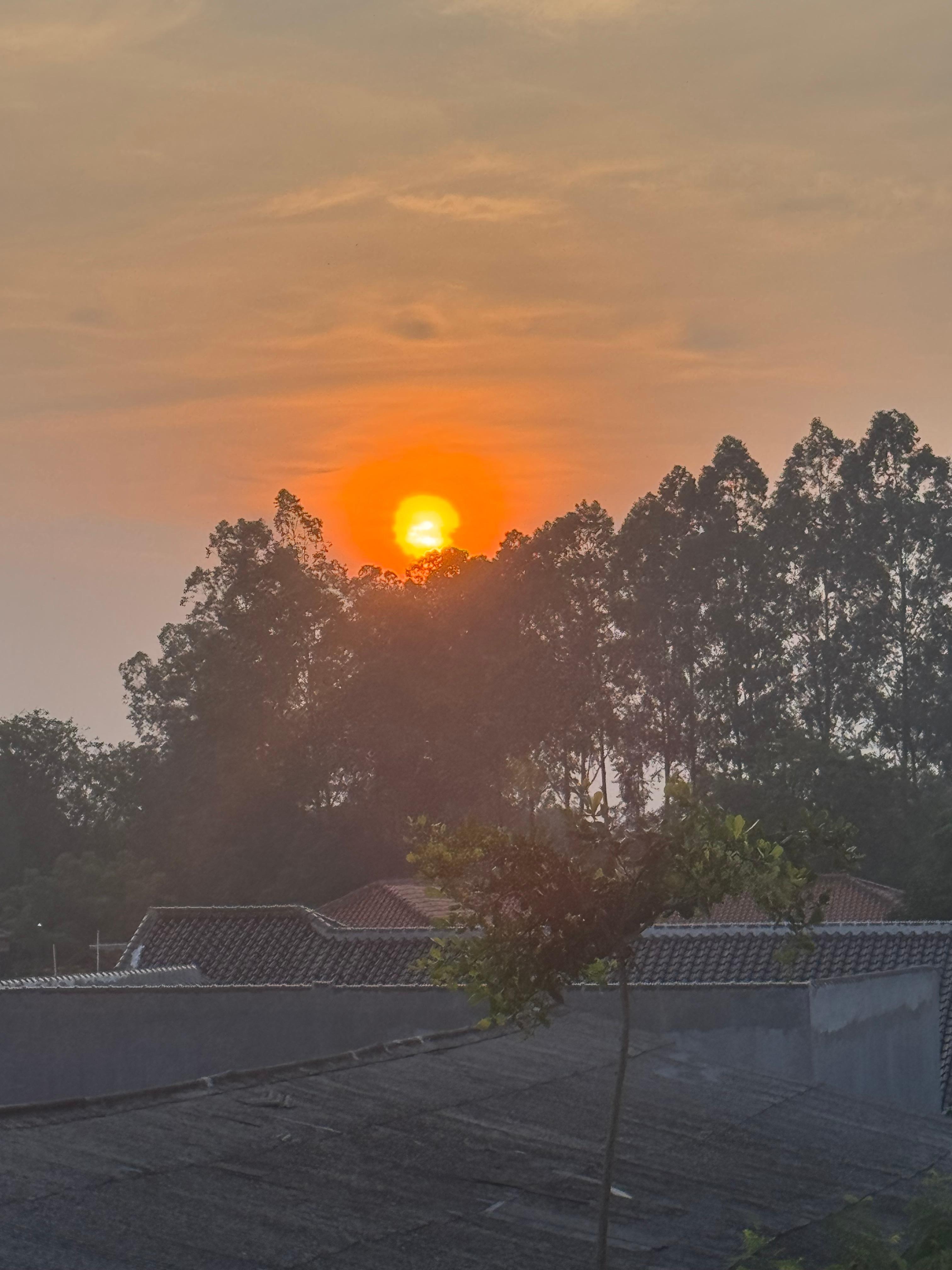 Sunrise for my second floor room. 