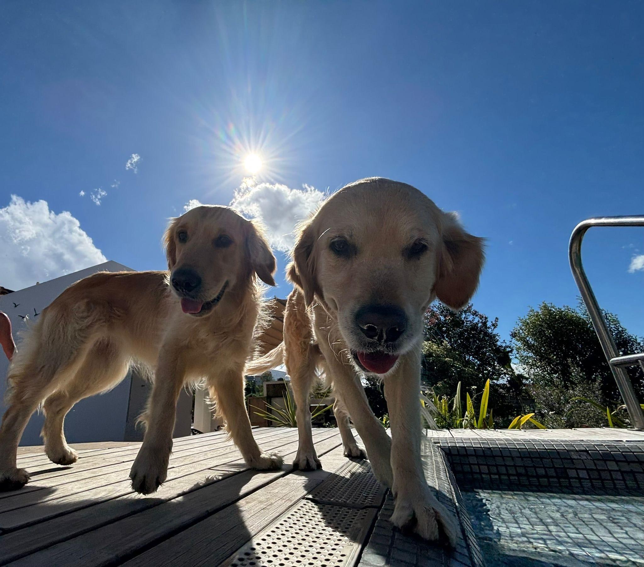 The beautiful Flossy and Cally