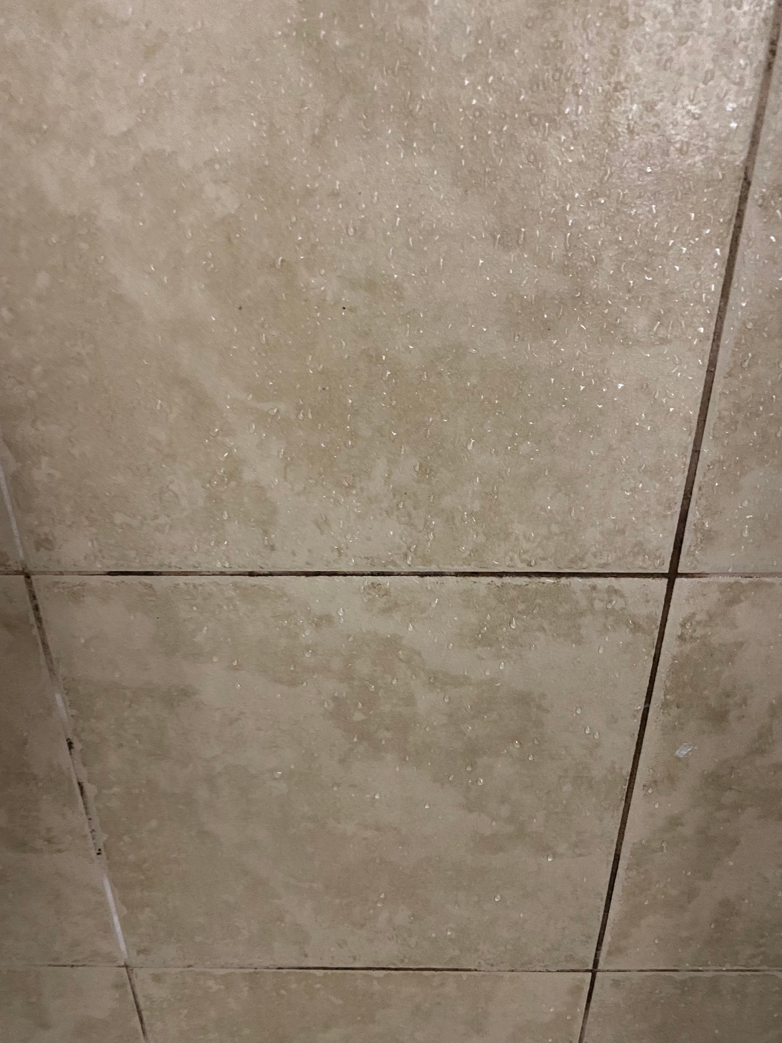 Mold in shower