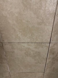 Mold in shower