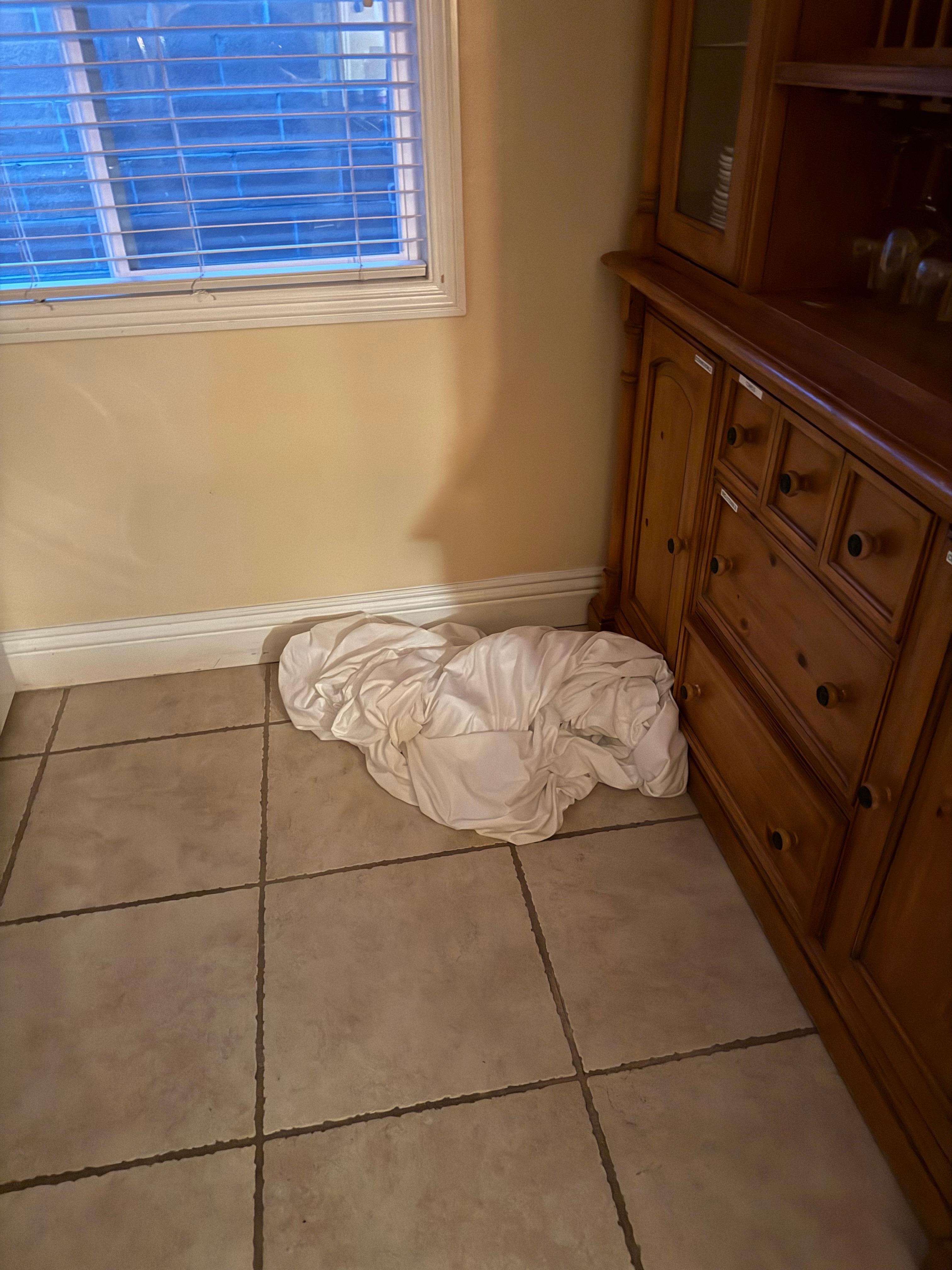 Dirty sheets left on kitchen floor