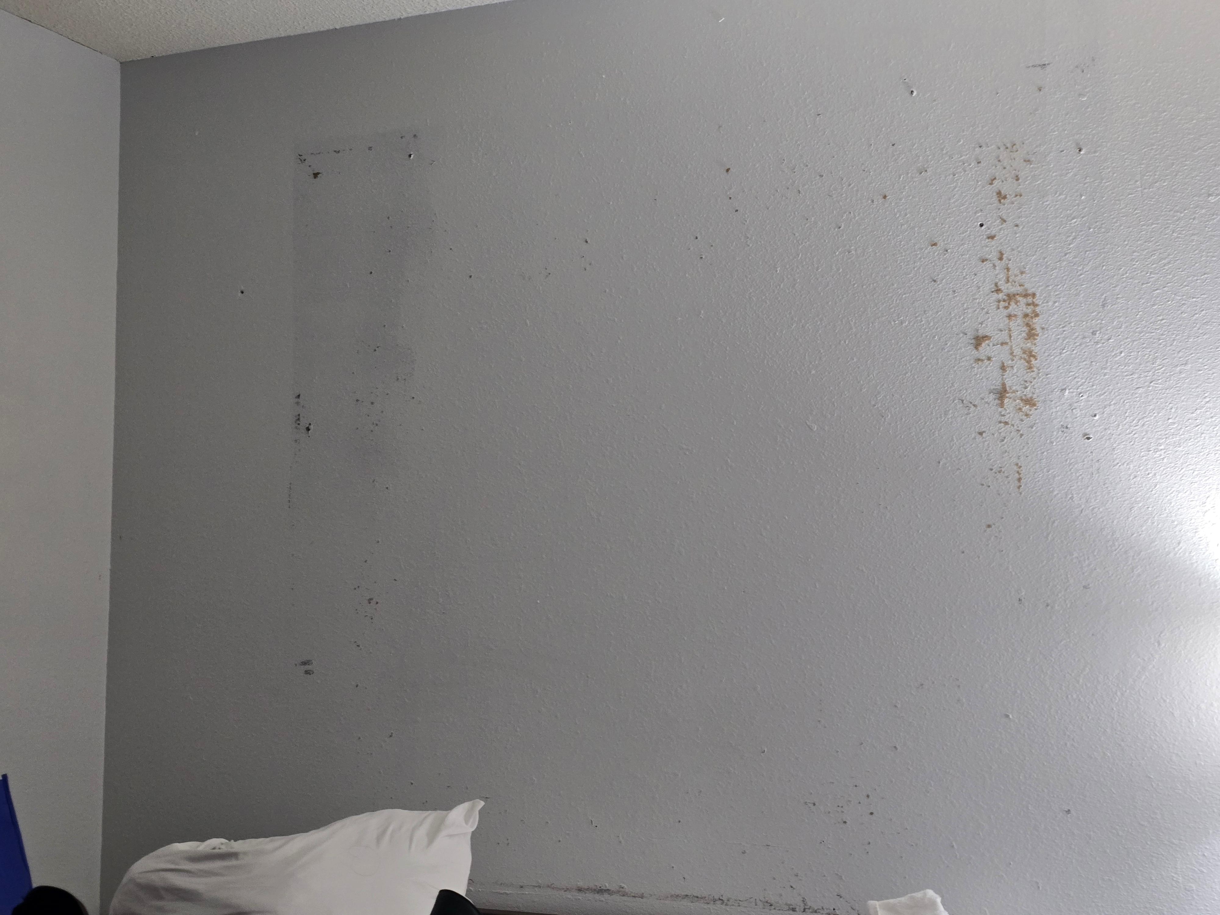 Walls were nadty