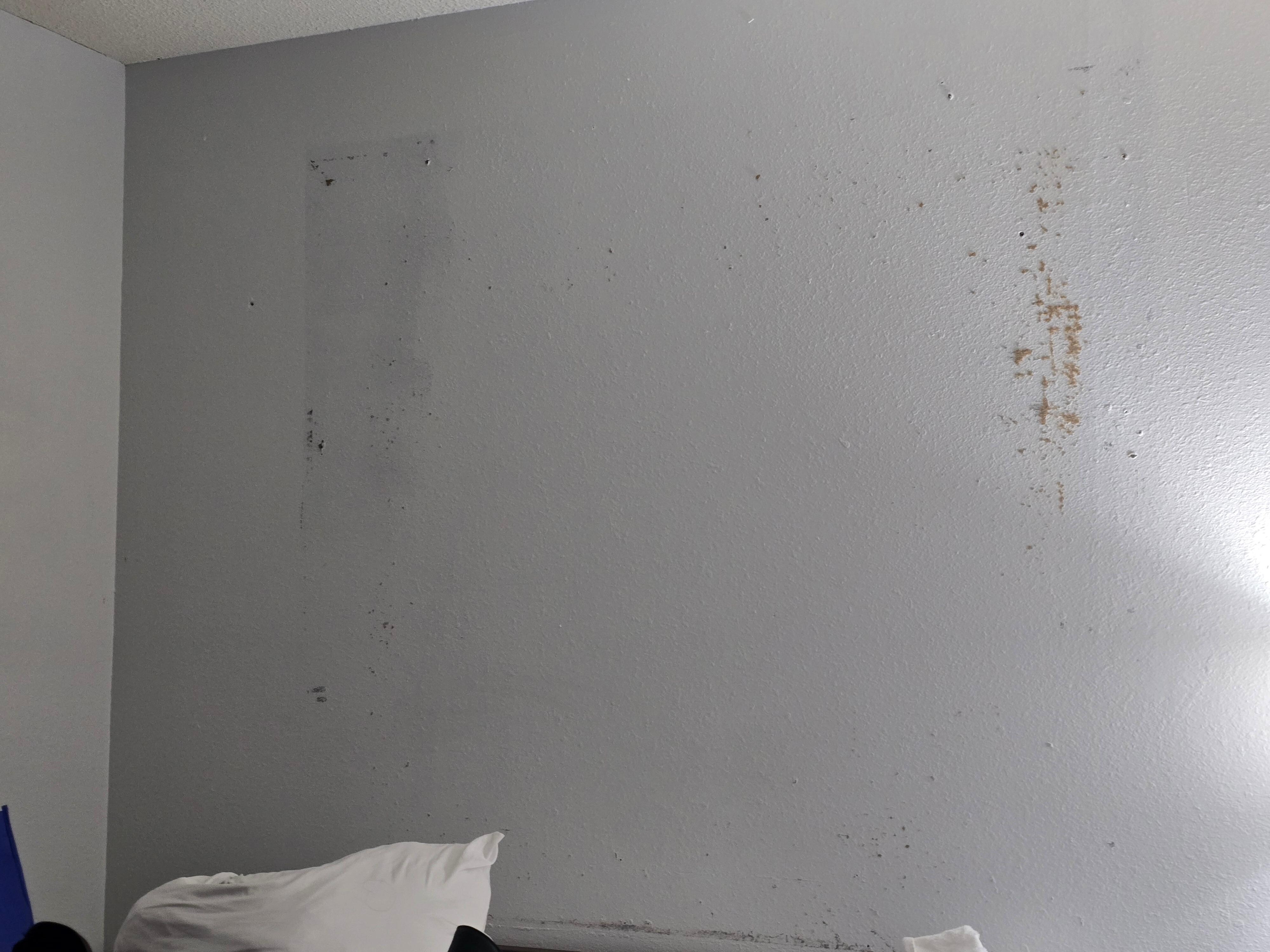 Walls were nadty