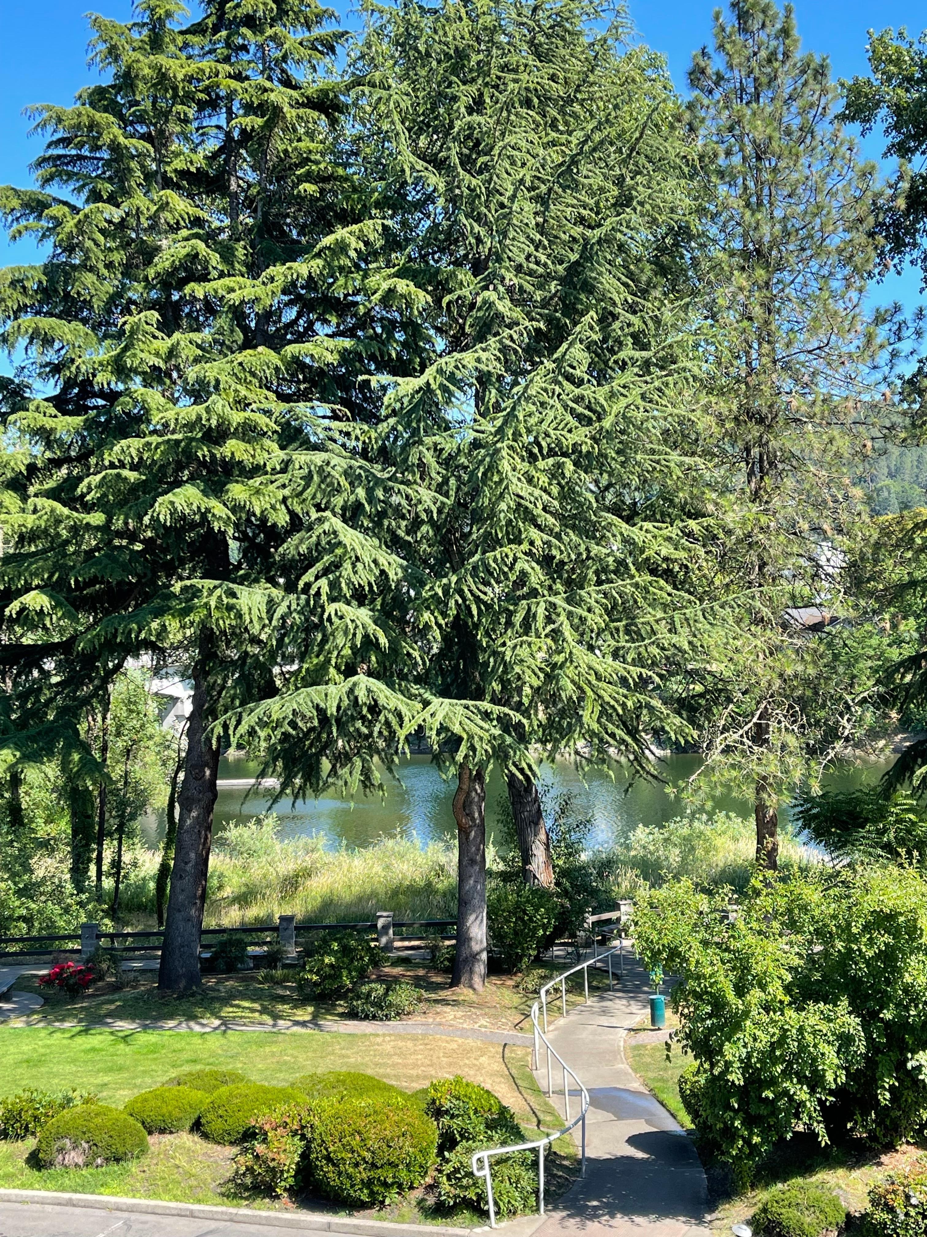 View from the balcony of our room.