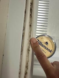 Freezer seal