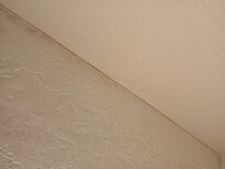 Mold around the wall in the restroom