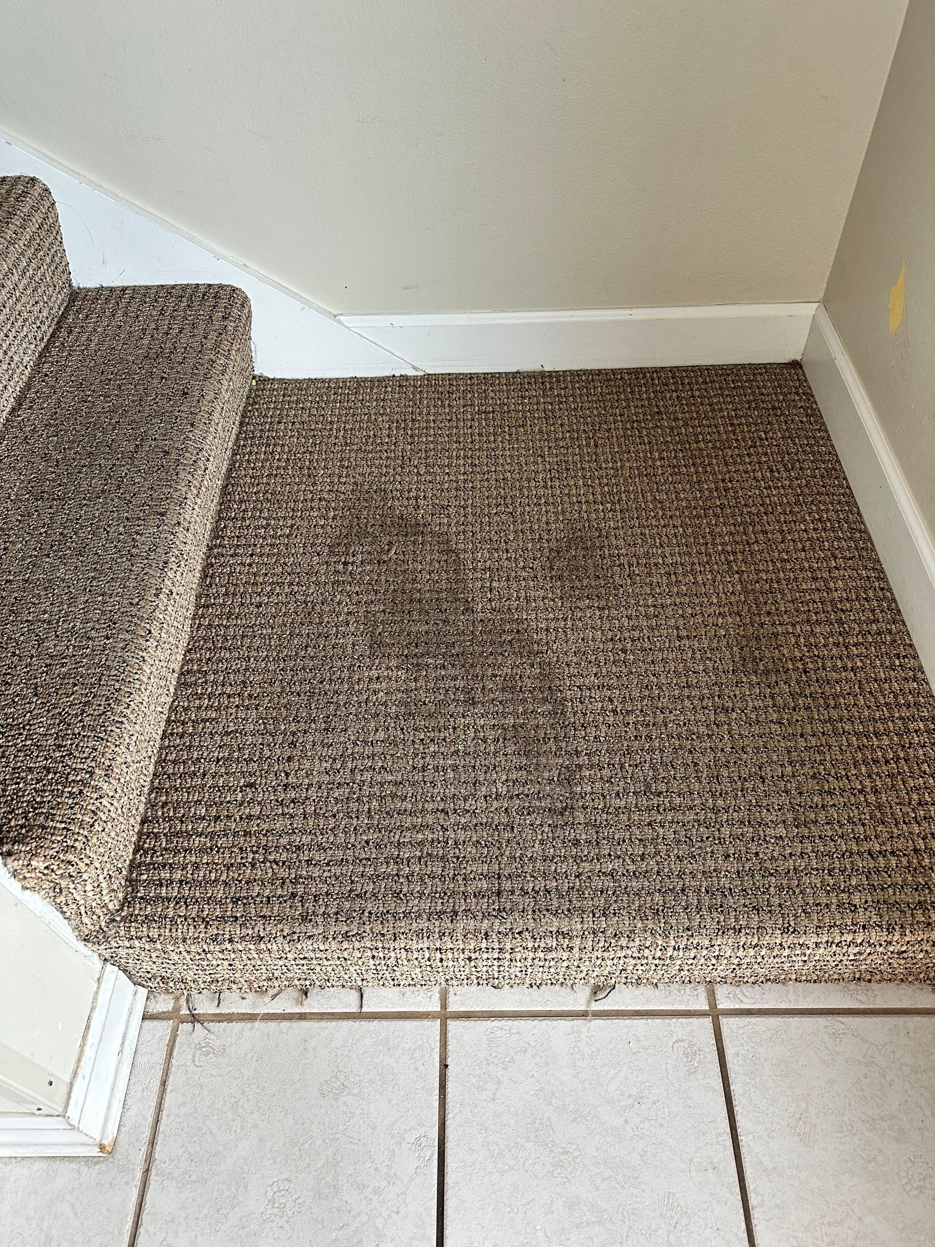 Stained floors