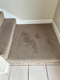 Stained floors