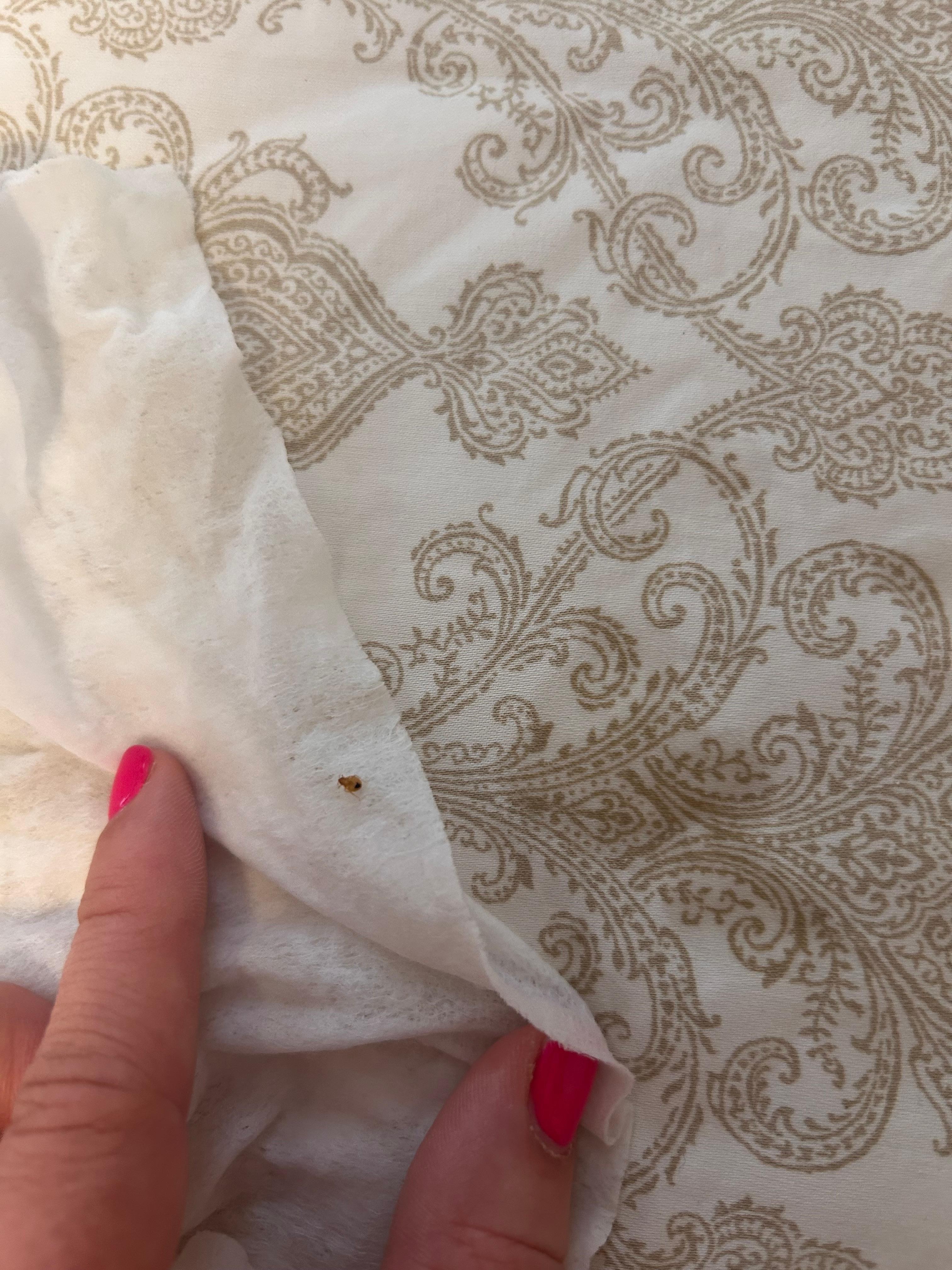 I have video but unfortuantely wasn’t able to upload. 