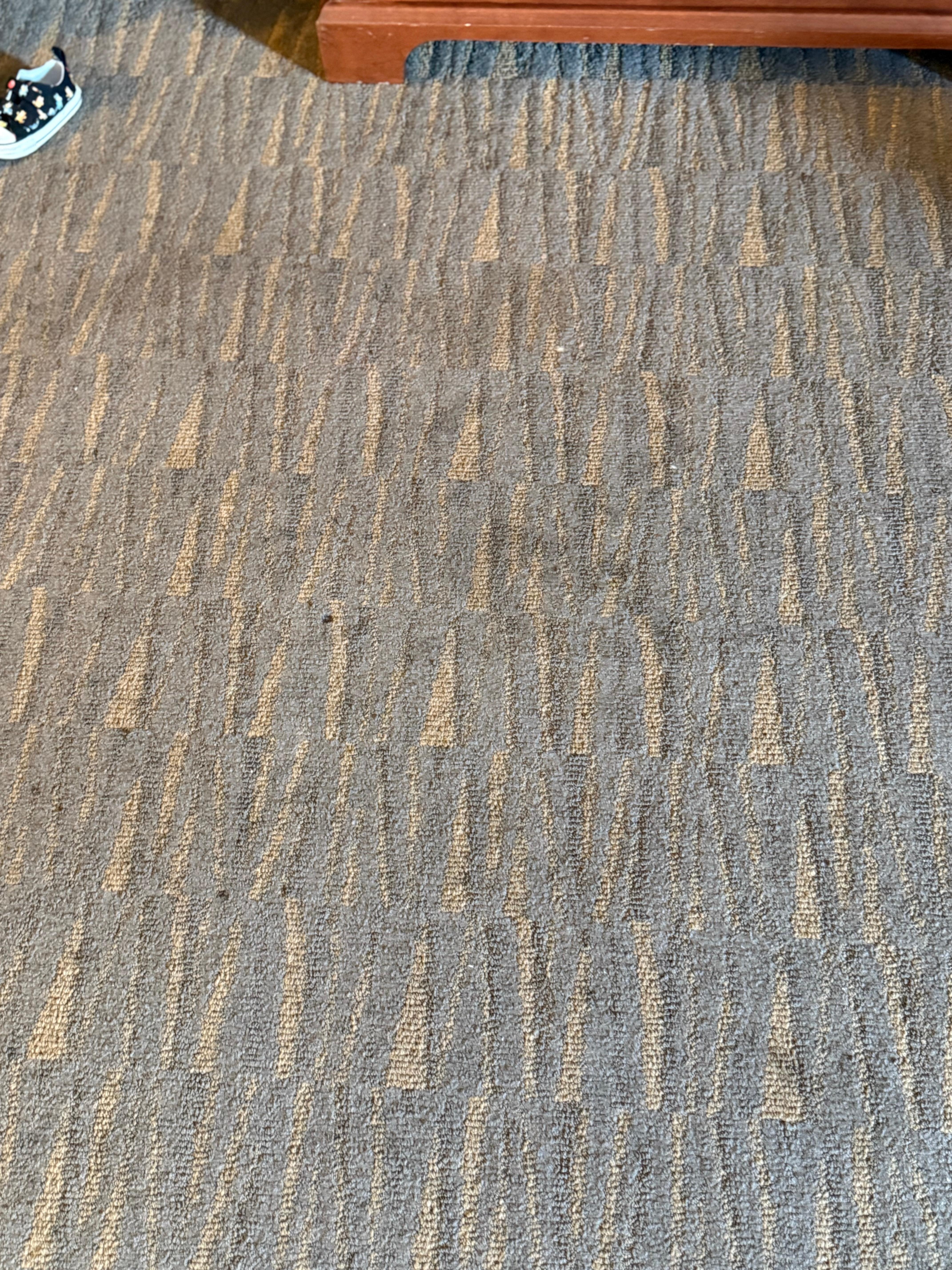 carpet very stained and who knows what is all over it..