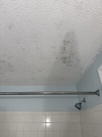 Mold