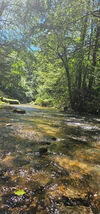 Creek behind the house