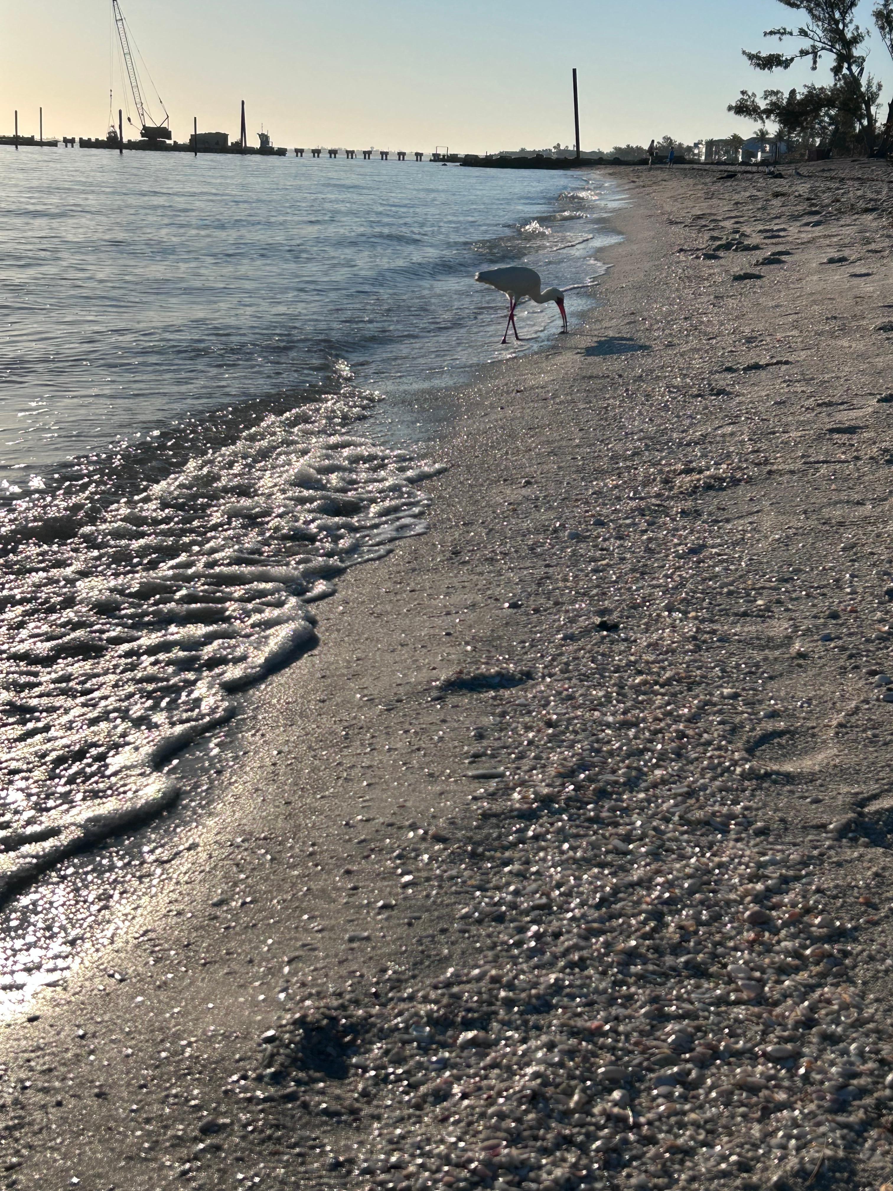 Beach is literally a one minute walk away! 