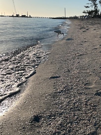 Beach is literally a one minute walk away!