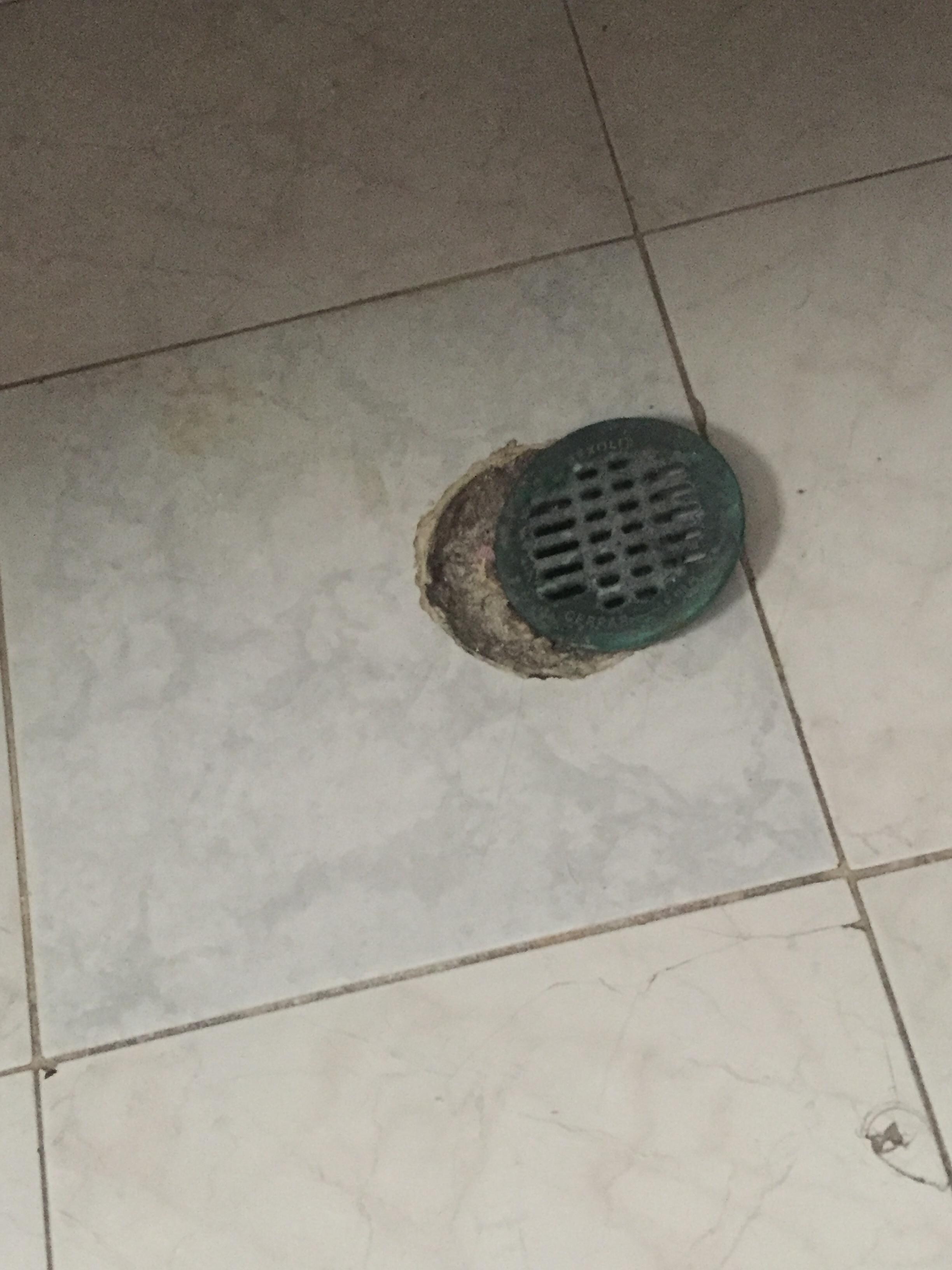Drain cover