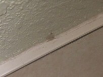 Dirty baseboard/trim